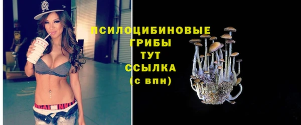 PSILOCYBIN Алексеевка