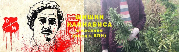 PSILOCYBIN Алексеевка