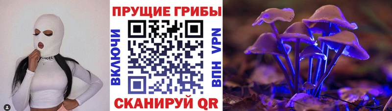 Галлюциногенные грибы ЛСД  Калачинск 